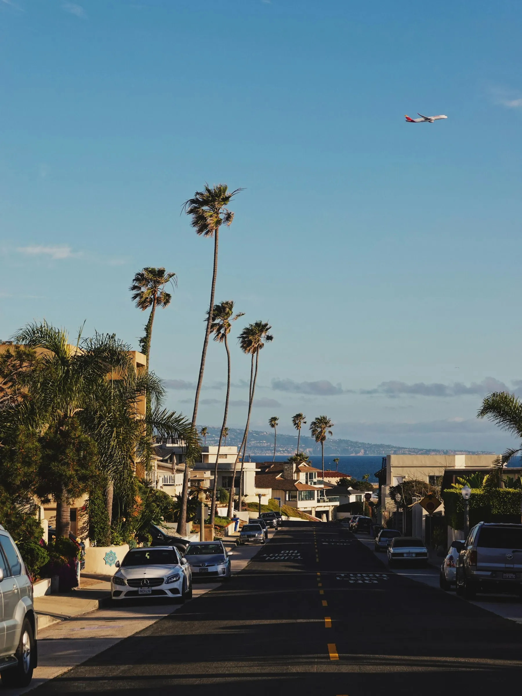 A Los Angeles street lined with palm trees and parked cars