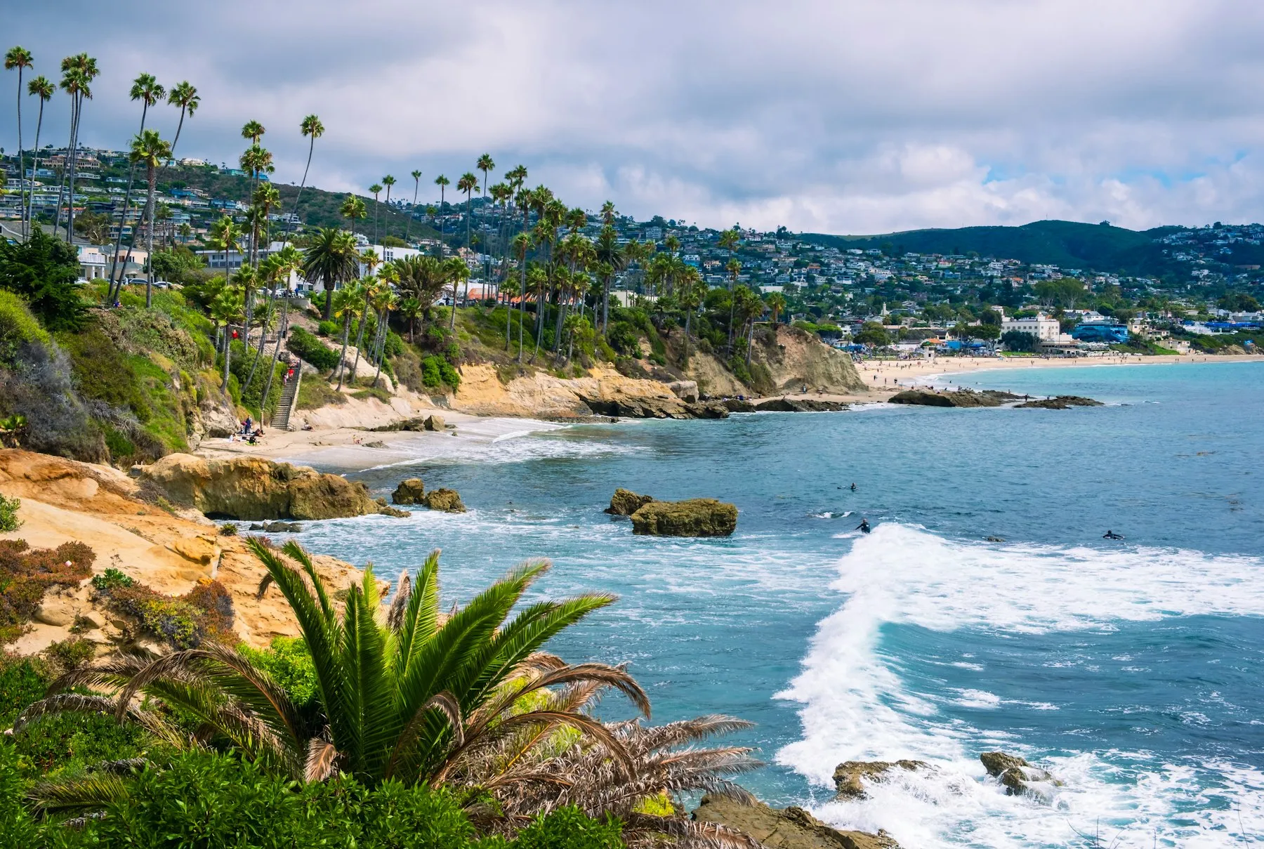 Palm trees and the coastline in Orange County, California